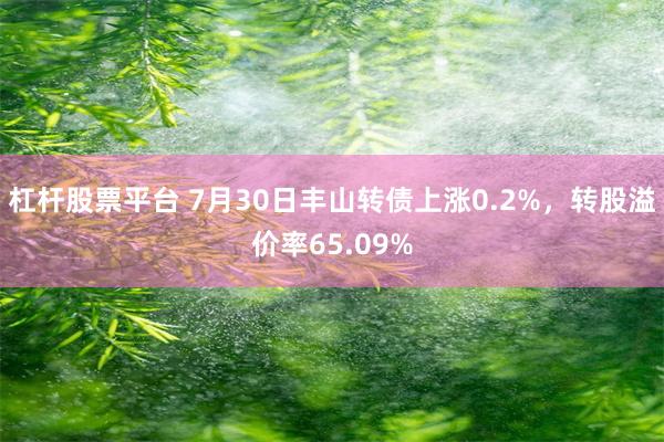 杠杆股票平台 7月30日丰山转债上涨0.2%，转股溢价率65.09%