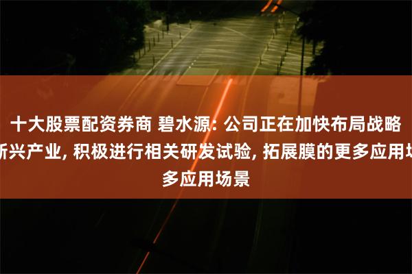 十大股票配资券商 碧水源: 公司正在加快布局战略性新兴产业,