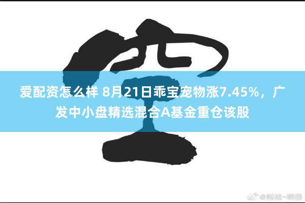 爱配资怎么样 8月21日乖宝宠物涨7.45%，广发中小盘精选