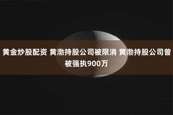 黄金炒股配资 黄渤持股公司被限消 黄渤持股公司曾被强执900