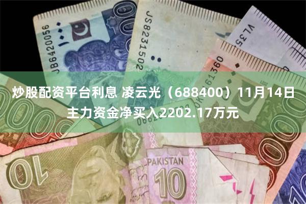 炒股配资平台利息 凌云光（688400）11月14日主力资金