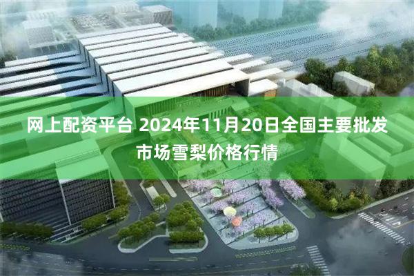 网上配资平台 2024年11月20日全国主要批发市场雪梨价格