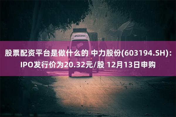 股票配资平台是做什么的 中力股份(603194.SH)：IP