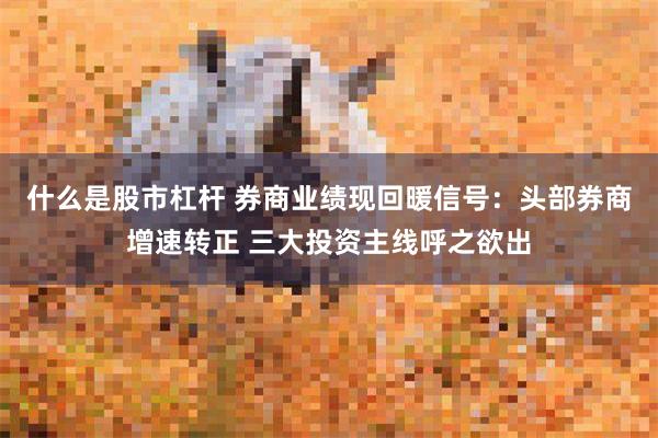 什么是股市杠杆 券商业绩现回暖信号：头部券商增速转正 三大投