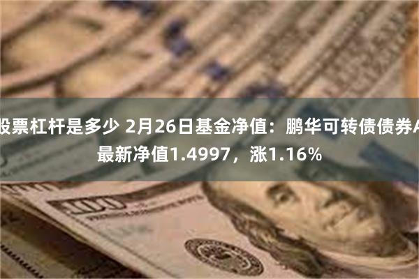 股票杠杆是多少 2月26日基金净值：鹏华可转债债券A最新净值