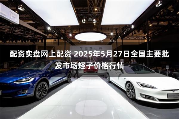 配资实盘网上配资 2025年5月27日全国主要批发市场蛏子价