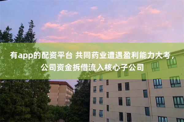 有app的配资平台 共同药业遭遇盈利能力大考，公司资金拆借流